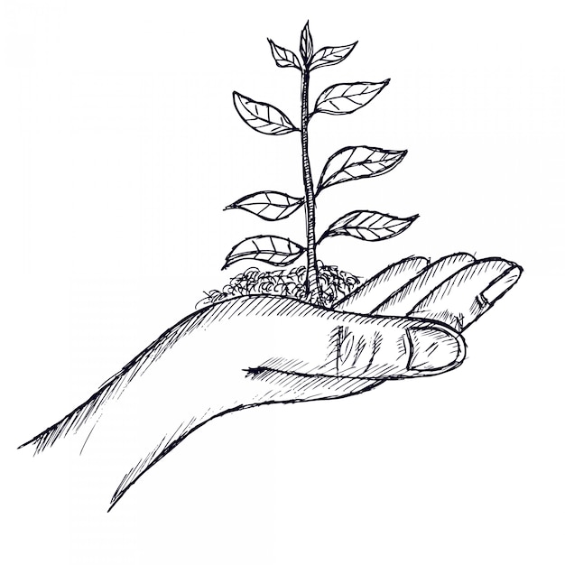 Hand holding a branch of tree, illustration