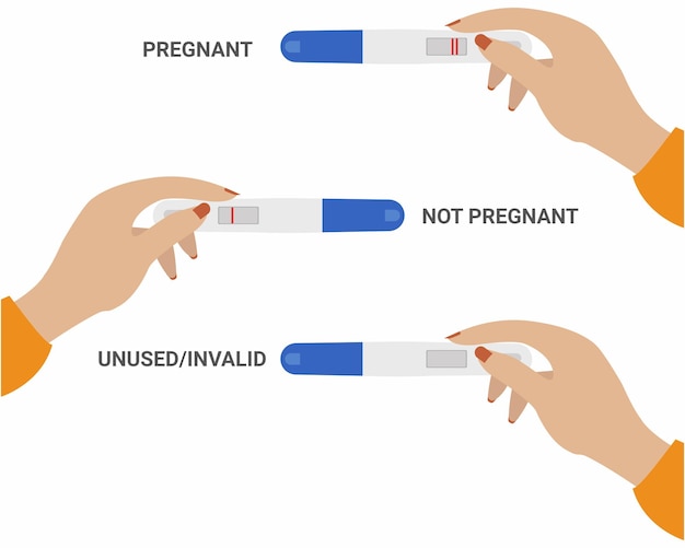 Vector hand holding different pregnancy tests expecting of first child and medicine tool for motherhood