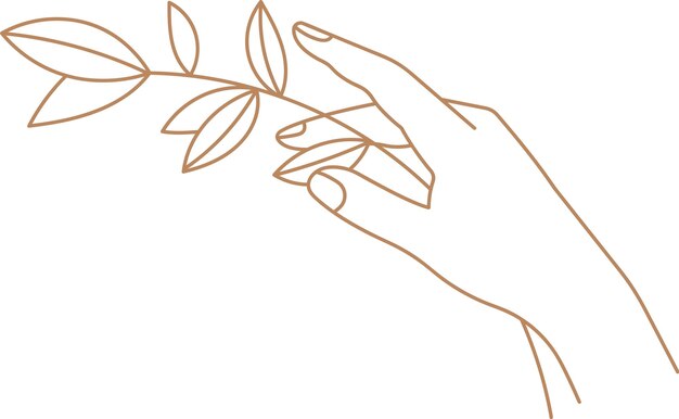 Vector hand holding floral branch outline