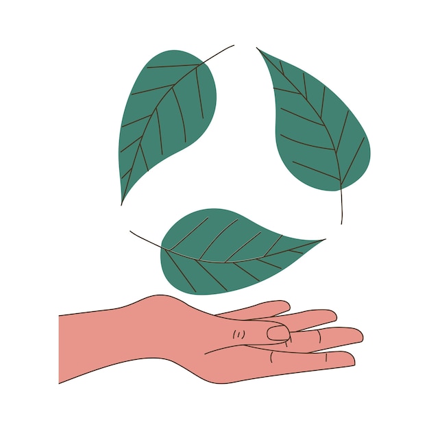 Hand holding a fresh green leaves over white