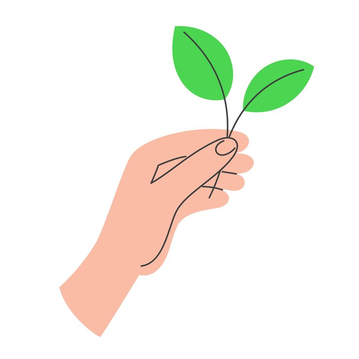 Vector hand holding green leaves a symbol of nature sustainability and ecofriendliness