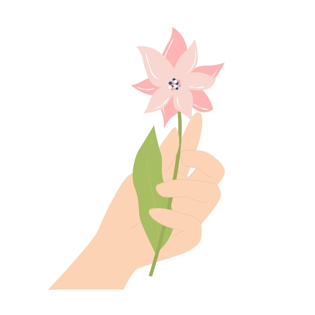 Hand holding pink flower