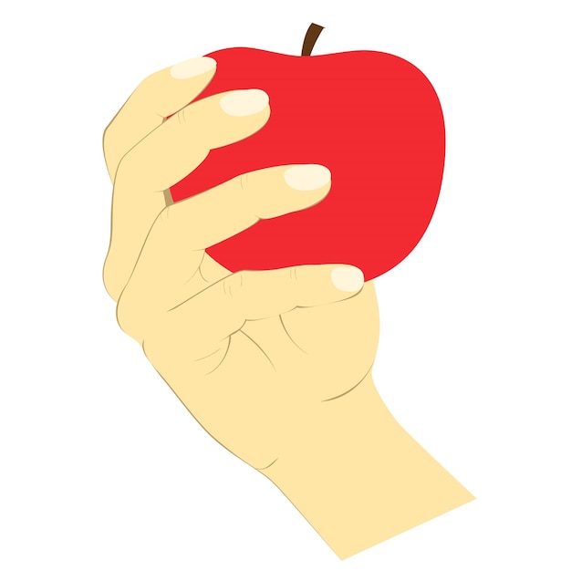 Hand holding red apple in vector graphic