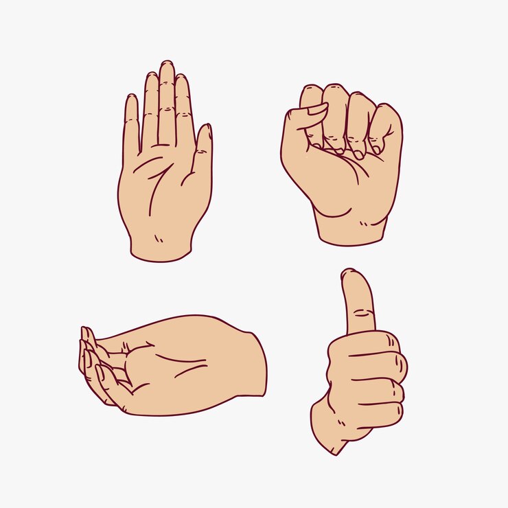 Vector 手のイラストジェスチャー
