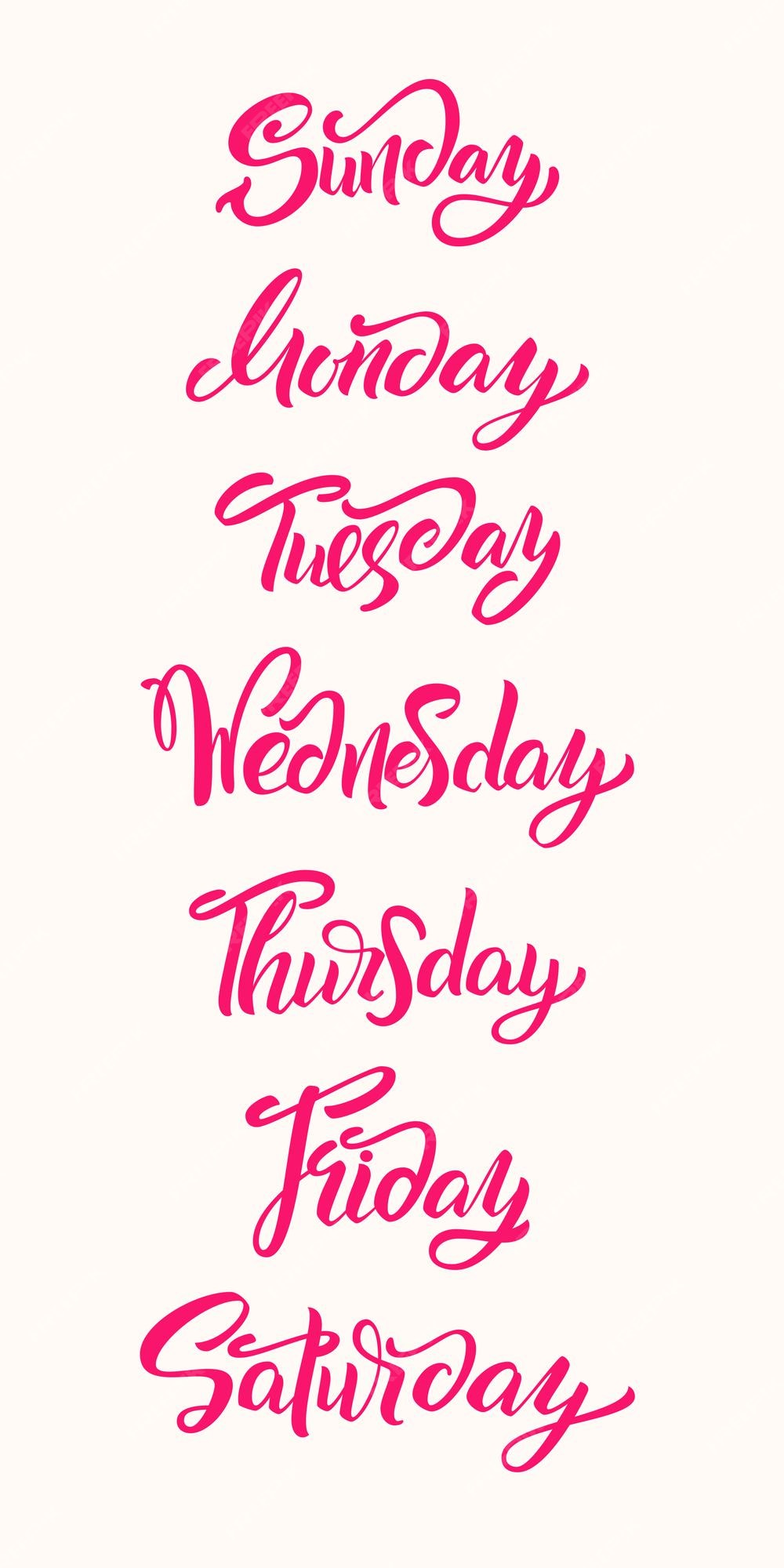 Lettering Days of Week Sunday, Monday, Tuesday, Wednesday, Thursday, Friday,  Saturday. Modern Calligr…