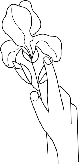 Hand met bloemen overzicht