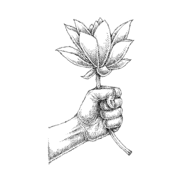 Vector hand met lotusbloem illustratie