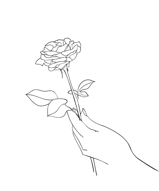 Hand met roze bloem, lijntekening. - vectorillustratie