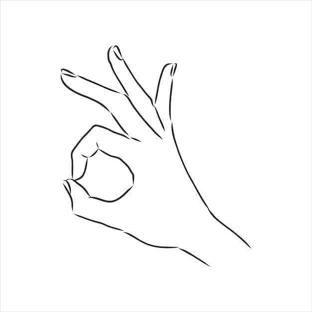 Hand OK Sign Isolated on White Background. Sketch style. Vector illustration