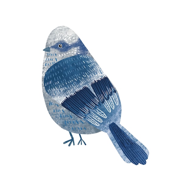 hand painted blue bird illustration background