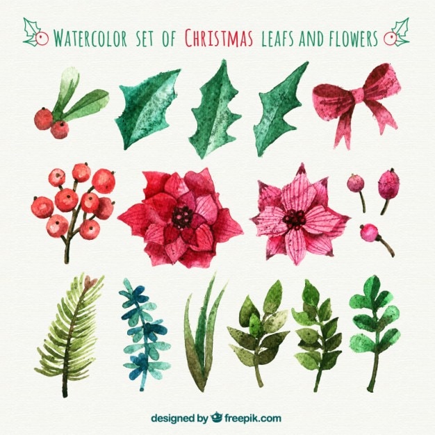 Hand painted christmas leafs and flowers