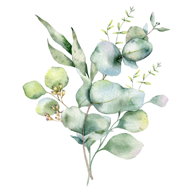 Hand Painted Eucalyptus and Greenery Watercolor Bouquet for wedding invitations, greeting cards