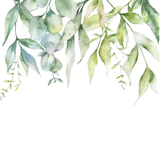 Vector hand painted eucalytus and greenery watercolor frames for wedding invitations, greeting cards