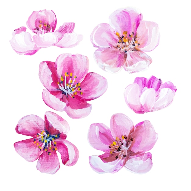 Vector hand painted flowers collection