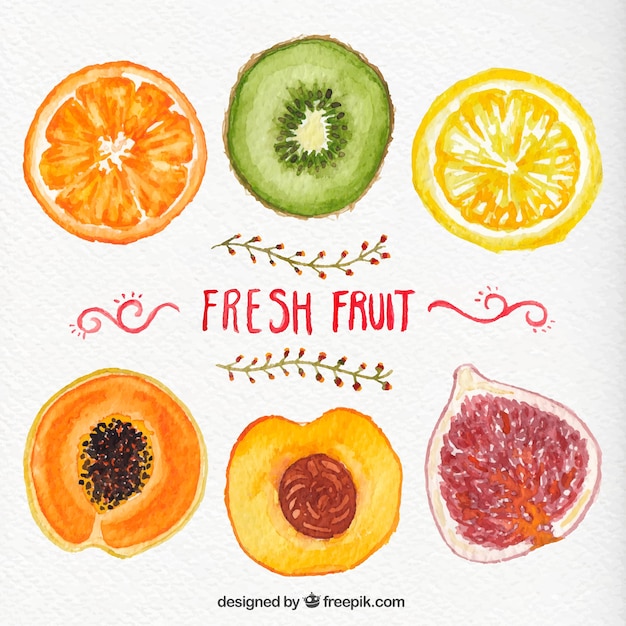 Vector hand painted fresh fruits