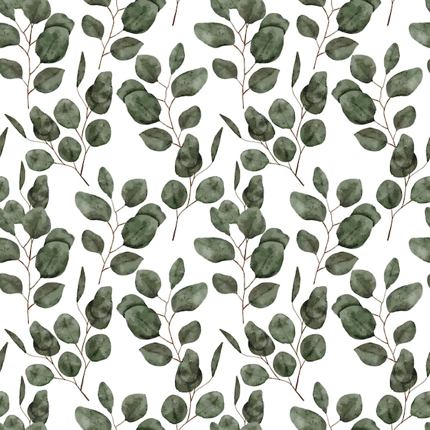 Vector hand painted pattern with green eucalyptus watercolor