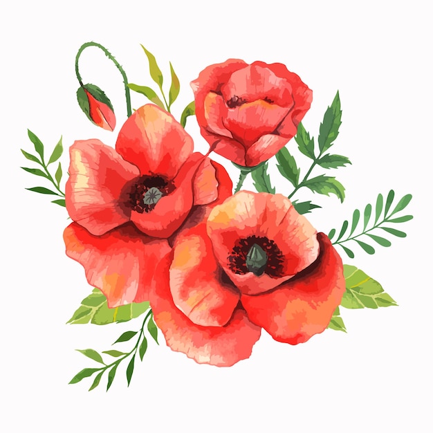 Hand Painted Poppy Bouquet Watercolor Illustration