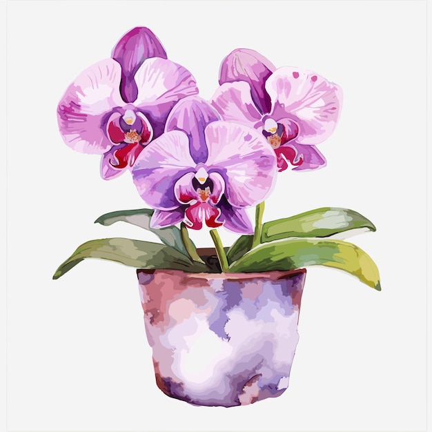 Vector hand painted style flower watercolor vase floral
