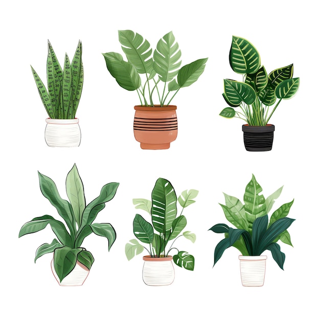 Vector hand painted style of house plant clipart collection on white background