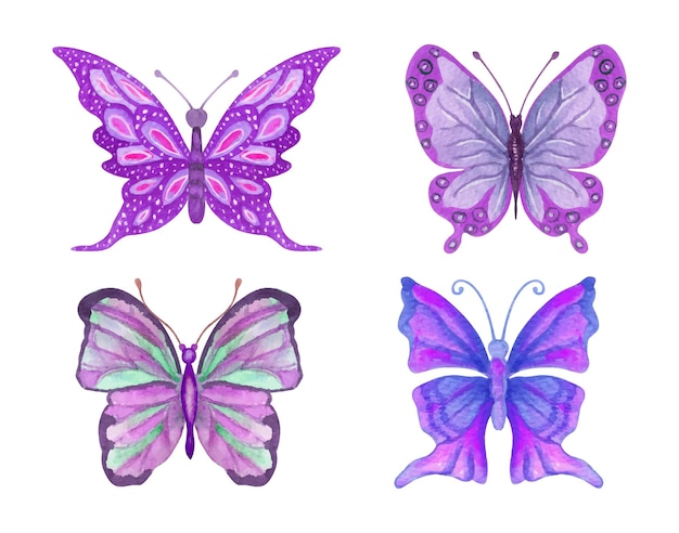 Hand painted various colorful watercolor butterfly set