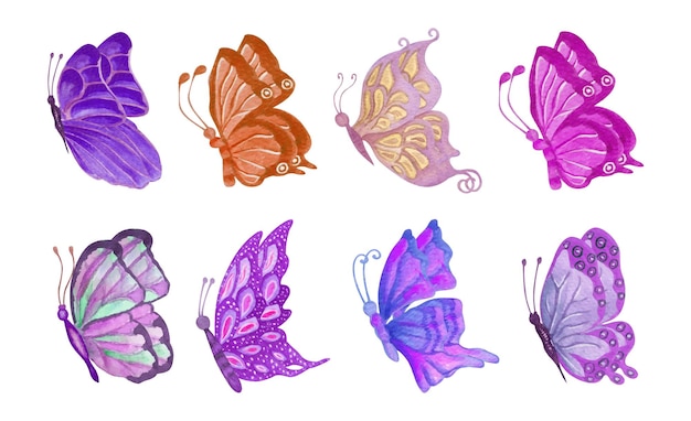 Hand painted various colorful watercolor butterfly set