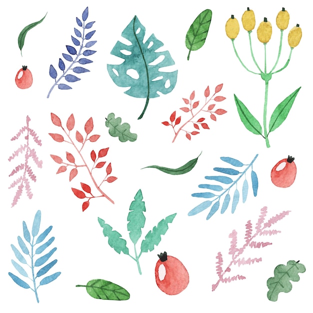 Vector hand painted watercolor floral elements