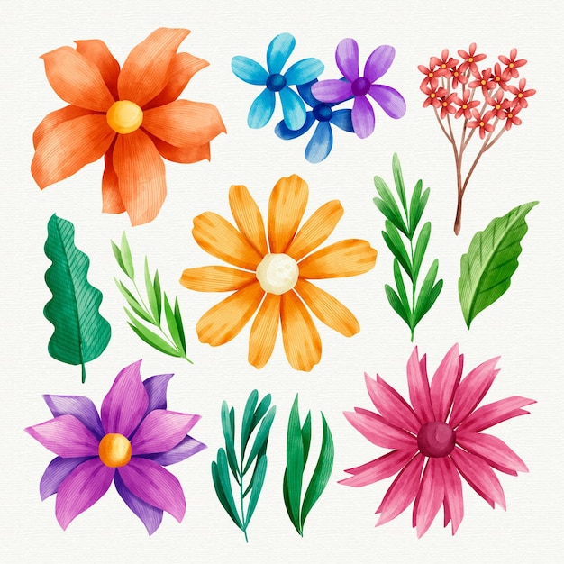 Hand painted watercolor flower collection