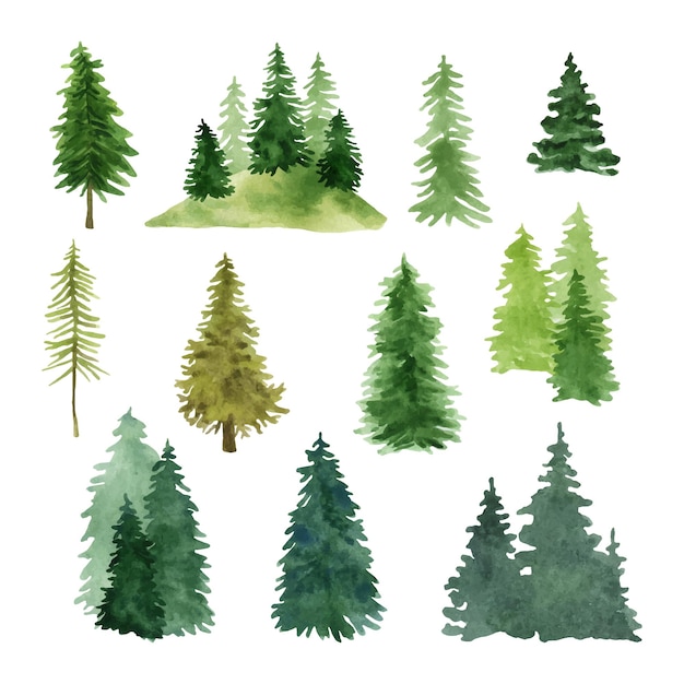 手描きの水彩画の森の木セット