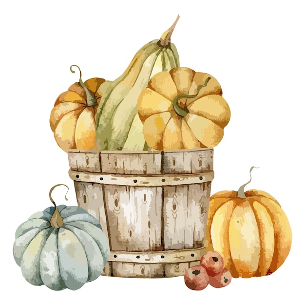 Hand Painted Watercolor Pumpkins, Thanksgiving Pumpkins, Happy thanksgiving
