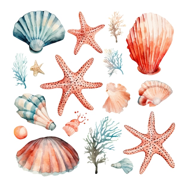 Hand painted watercolor seashells and starfishes corals Hand drawn illustration