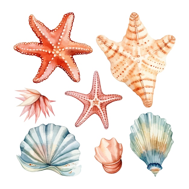 Vettore conchiglie acquerello dipinte a mano e coralli stelle marine illustrazione disegnata a mano