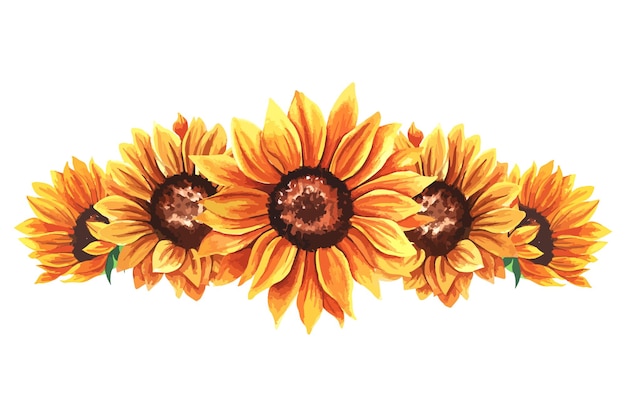 Hand Painted Watercolor Sunflowers with Leaves, Floral Botanical Illustration