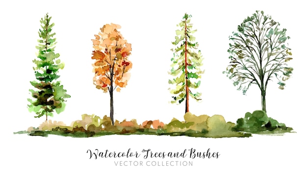 Vector hand painted watercolor trees and bushes vector collection