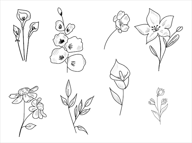 Hand pencil drawings of flowers