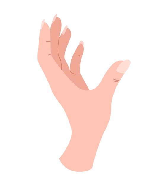 Hand pose icon