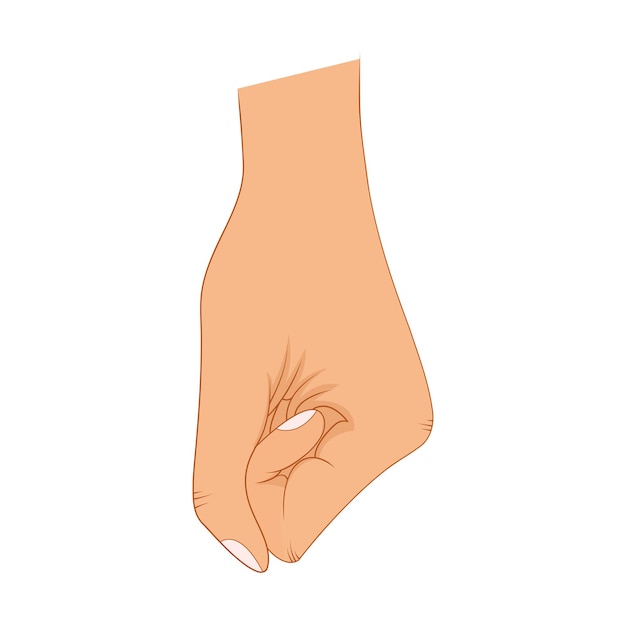 Vector hand in pose. male or female hand in cartoon style.