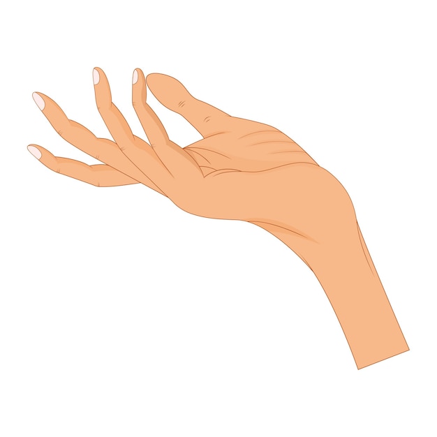 Vector hand in pose male or female hand in cartoon style