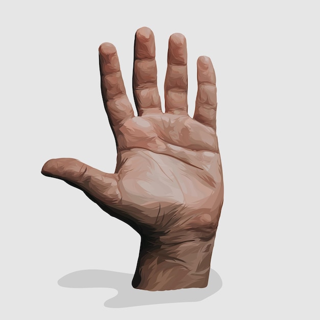 Vector hand realistic hand drawn illustrations and vectors