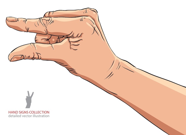 Vector hand showing small value, or use it to put some small object between the fingers, detailed vector illustration.