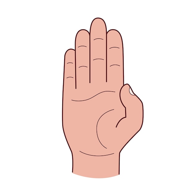 The hand shows a stop signal isolated on a white background Vector illustrationxA