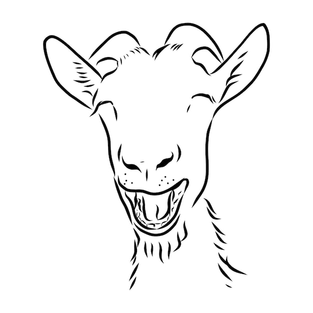 Hand sketch head of goat. Vector illustration