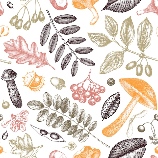 手は、秋の植物のシームレスなパターンをスケッチしました。葉、果実、キノコの植物の背景。手描きの秋の庭の背景。ヴィンテージの森の植物、キノコ、落ち葉のスケッチ。