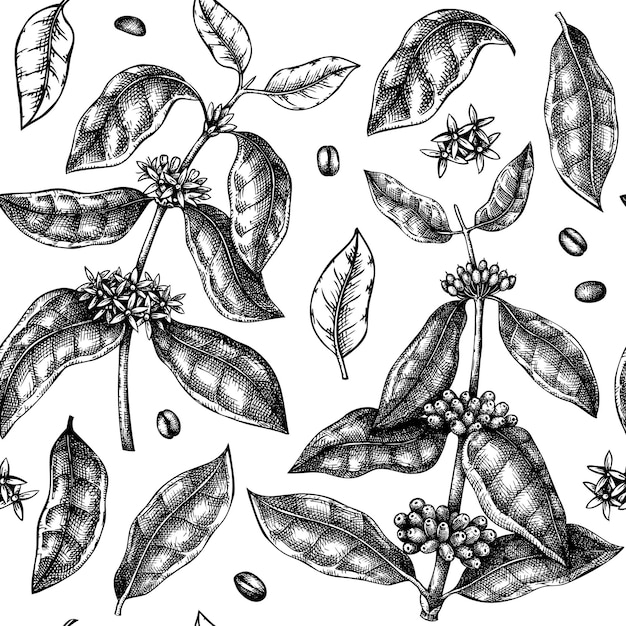 Vector hand sketched coffee plant seamless pattern