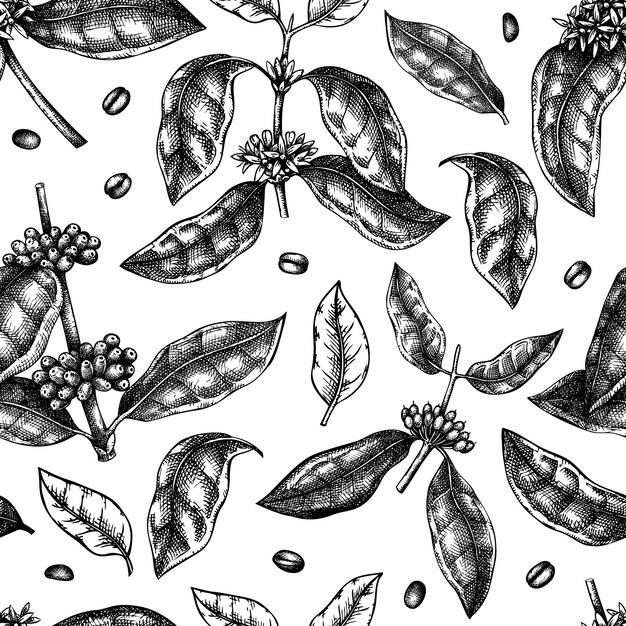 Vector hand sketched coffee plant seamless pattern