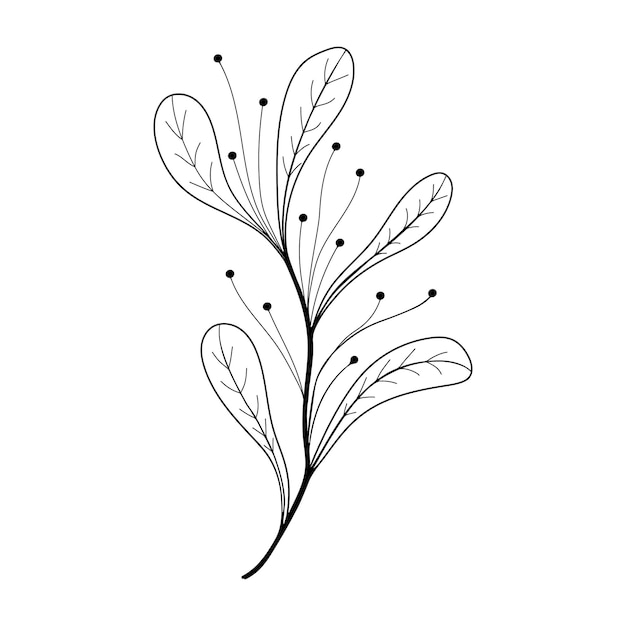 Vector hand sketched floral design element