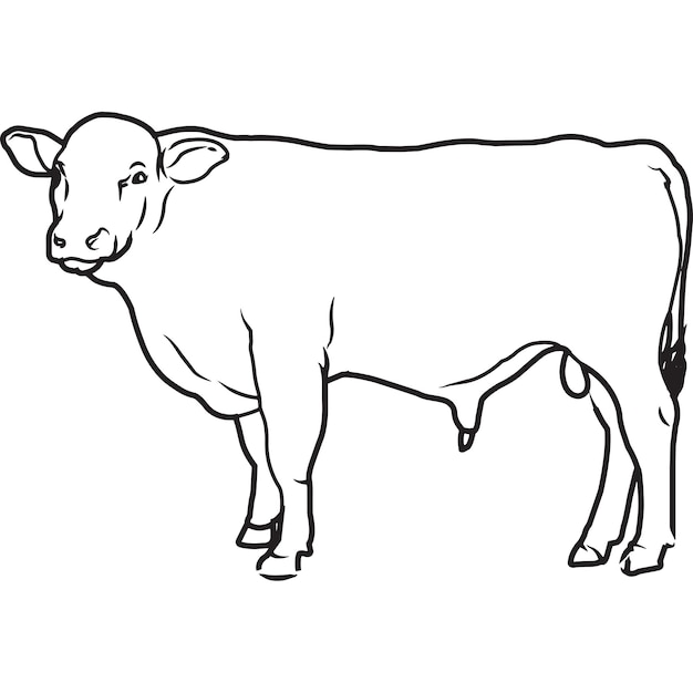 Hand Sketched Hand Drawn Beefalo Vector