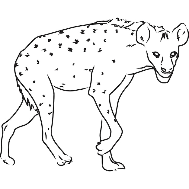 Hand Sketched Hand Drawn Hyena Vector