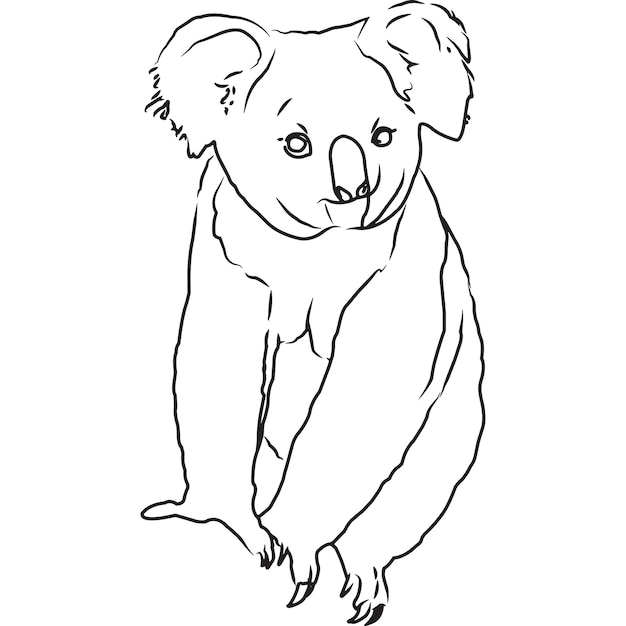 Ручной набросок рисованной коала вектор