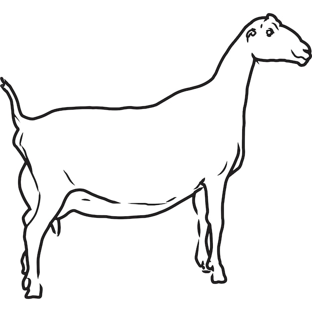 Ручной набросок рисованной ламанчской козы вектор