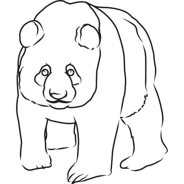 Ручной набросок рисованной панды вектор